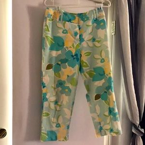 Ann Taylor Loft Stretch